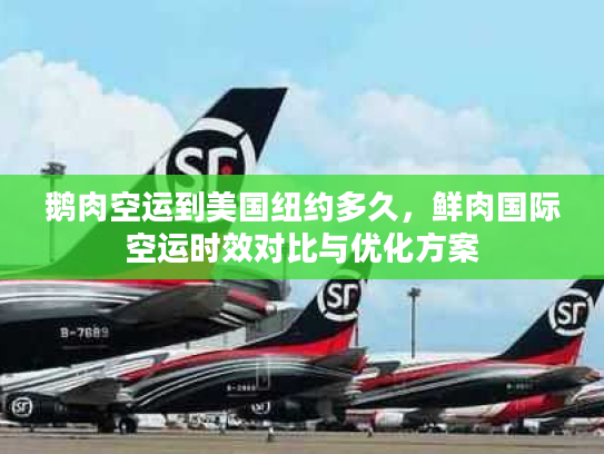 鹅肉空运到美国纽约多久，鲜肉国际空运时效对比与优化方案