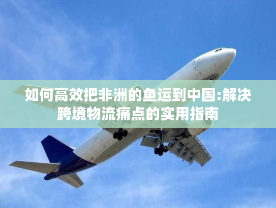 如何高效把非洲的鱼运到中国:解决跨境物流痛点的实用指南