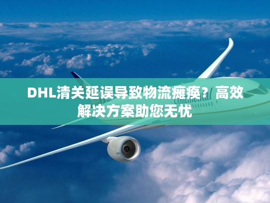 DHL清关延误导致物流瘫痪?高效解决方案助您无忧 DHL清关延误导致物流瘫痪?高效解决方案助您无忧
