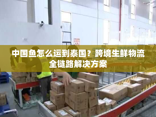 中国鱼怎么运到泰国？跨境生鲜物流全链路解决方案