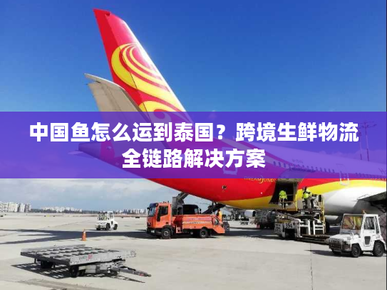 中国鱼怎么运到泰国？跨境生鲜物流全链路解决方案