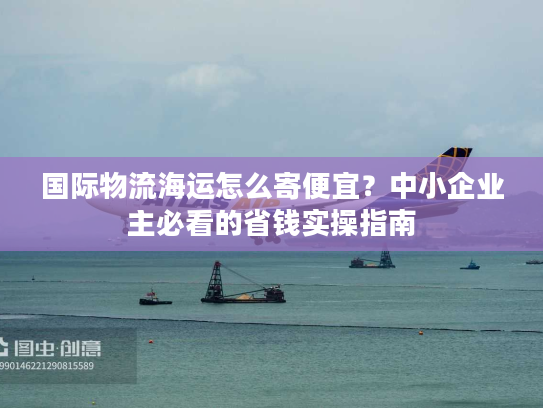 国际物流海运怎么寄便宜？中小企业主必看的省钱实操指南