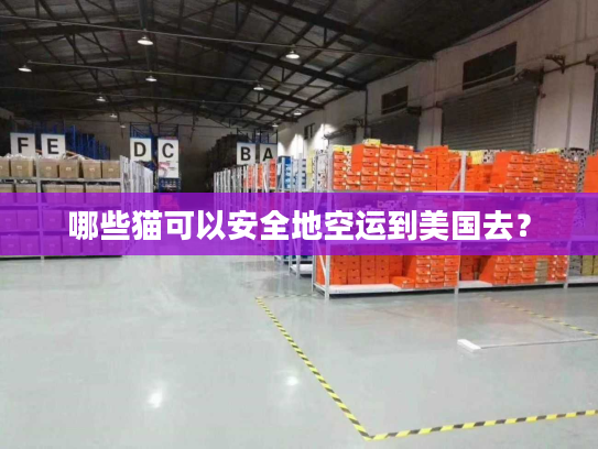 哪些猫可以安全地空运到美国去？
