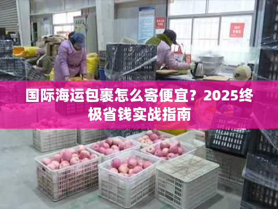 国际海运包裹怎么寄便宜？2025终极省钱实战指南