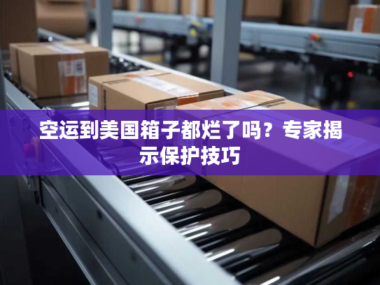 空运到美国箱子都烂了吗?专家揭示保护技巧 空运到美国箱子都烂了吗?专家揭示保护技巧