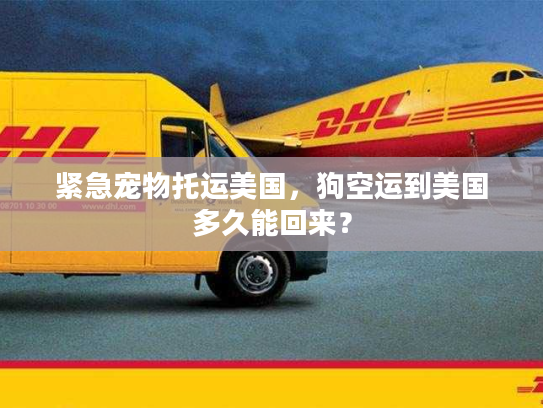 紧急宠物托运美国，狗空运到美国多久能回来？