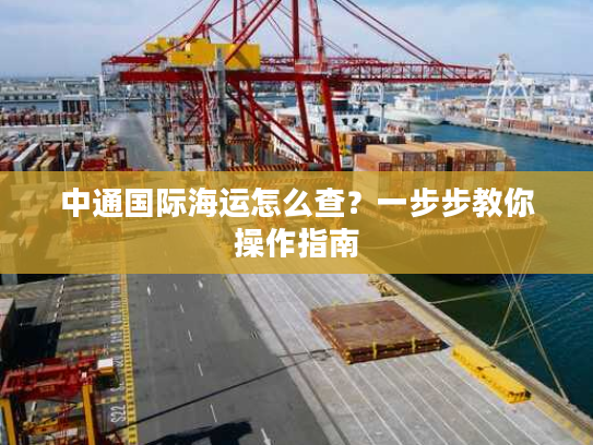 中通国际海运怎么查?一步步教你操作指南 中通国际海运怎么查?一步步教你操作指南