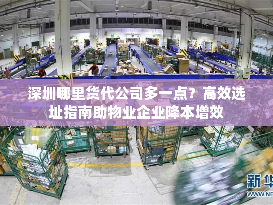 深圳哪里货代公司多一点？高效选址指南助物业企业降本增效