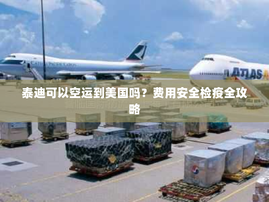 泰迪可以空运到美国吗?费用安全检疫全攻略 泰迪可以空运到美国吗?费用安全检疫全攻略