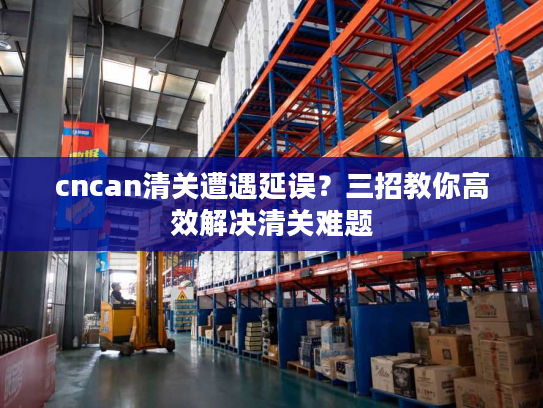 cncan清关遭遇延误？三招教你高效解决清关难题