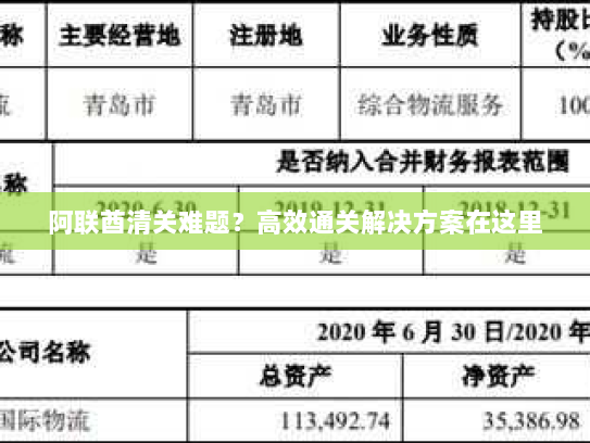 阿联酋清关难题？高效通关解决方案在这里