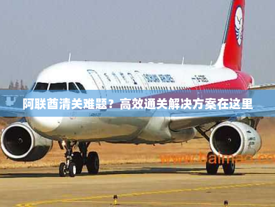 阿联酋清关难题？高效通关解决方案在这里