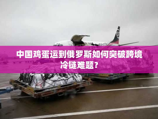 中国鸡蛋运到俄罗斯如何突破跨境冷链难题？