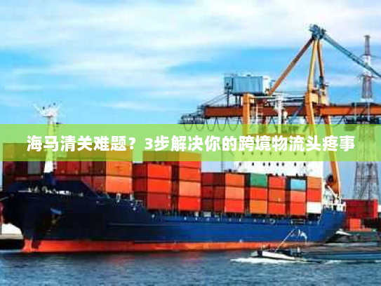 海马清关难题？3步解决你的跨境物流头疼事