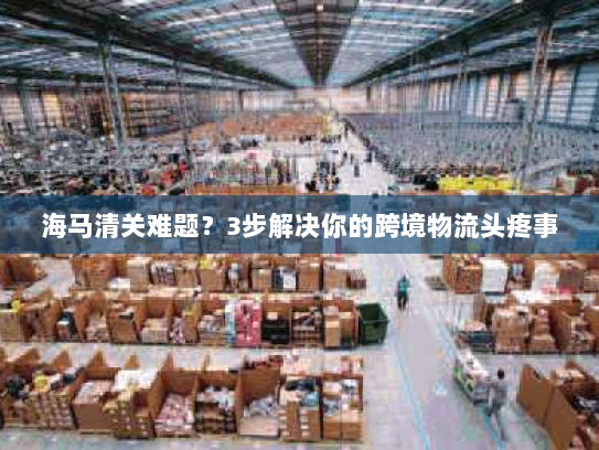 海马清关难题？3步解决你的跨境物流头疼事