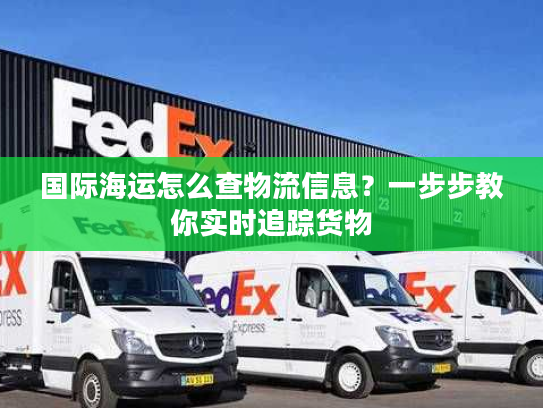 国际海运怎么查物流信息？一步步教你实时追踪货物