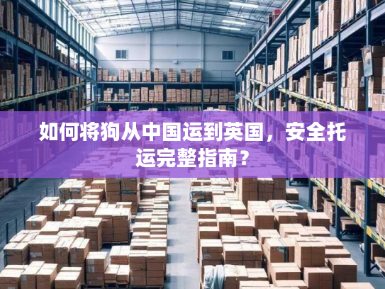 如何将狗从中国运到英国，安全托运完整指南？