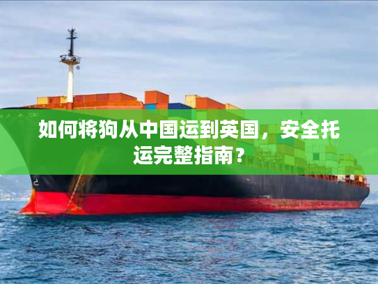 如何将狗从中国运到英国，安全托运完整指南？