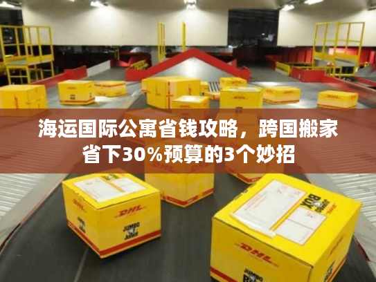 海运国际公寓省钱攻略，跨国搬家省下30%预算的3个妙招