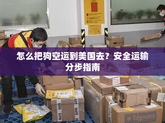 怎么把狗空运到美国去？安全运输分步指南