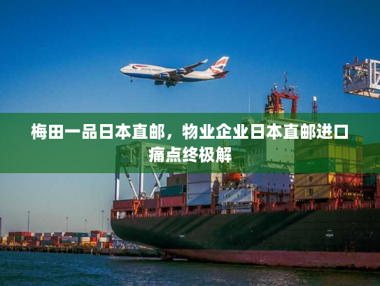 梅田一品日本直邮，物业企业日本直邮进口痛点终极解
