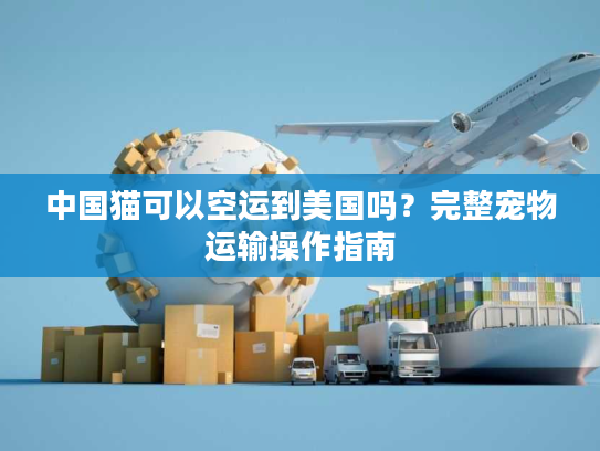 中国猫可以空运到美国吗？完整宠物运输操作指南