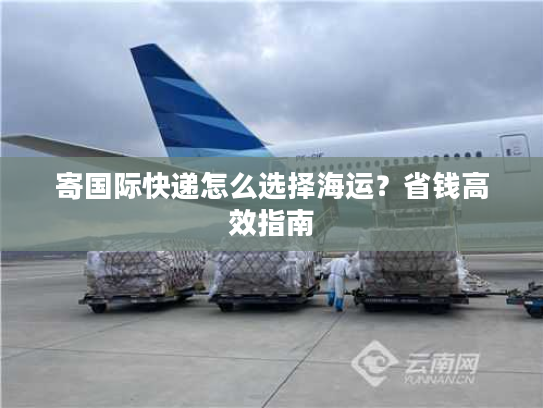 寄国际快递怎么选择海运？省钱高效指南