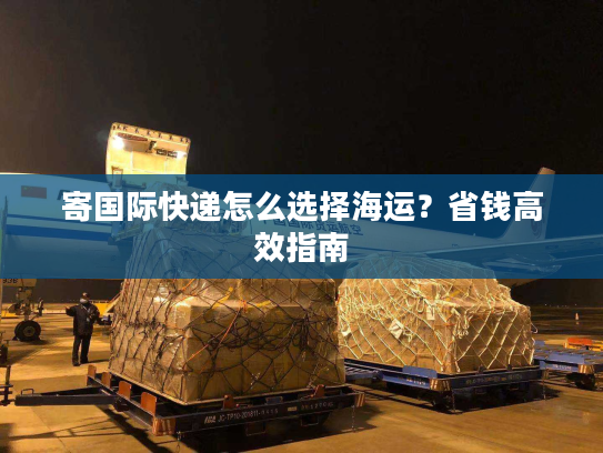 寄国际快递怎么选择海运？省钱高效指南