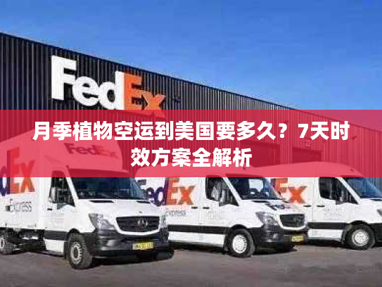 月季植物空运到美国要多久？7天时效方案全解析