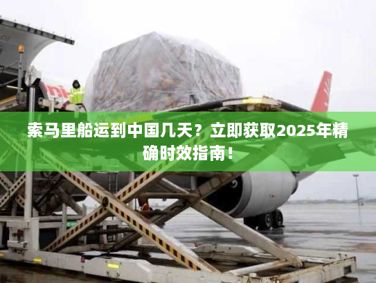 索马里船运到中国几天？立即获取2025年精确时效指南！