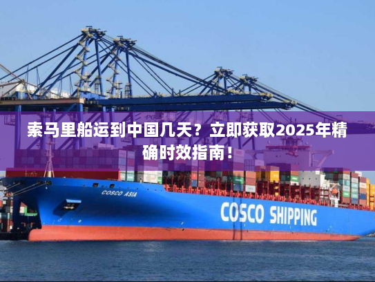 索马里船运到中国几天？立即获取2025年精确时效指南！
