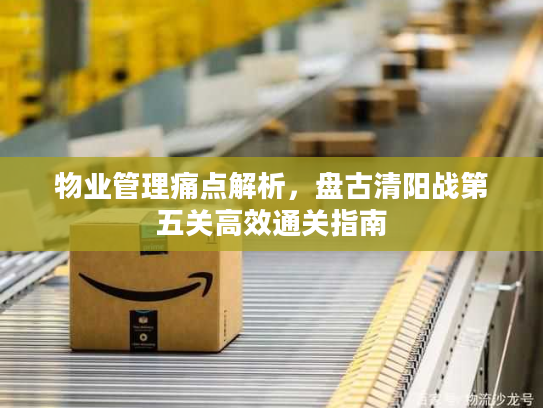 物业管理痛点解析,盘古清阳战第五关高效通关指南 物业管理痛点解析,盘古清阳战第五关高效通关指南