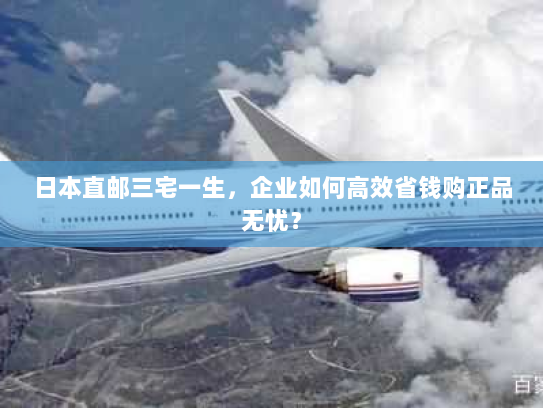 日本直邮三宅一生,企业如何高效省钱购正品无忧? 日本直邮三宅一生,企业如何高效省钱购正品无忧?