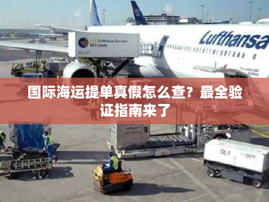 国际海运提单真假怎么查?最全验证指南来了 国际海运提单真假怎么查?最全验证指南来了