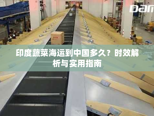 印度蔬菜海运到中国多久？时效解析与实用指南