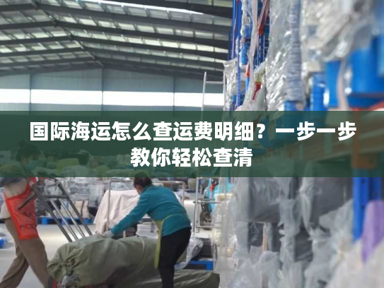 国际海运怎么查运费明细？一步一步教你轻松查清