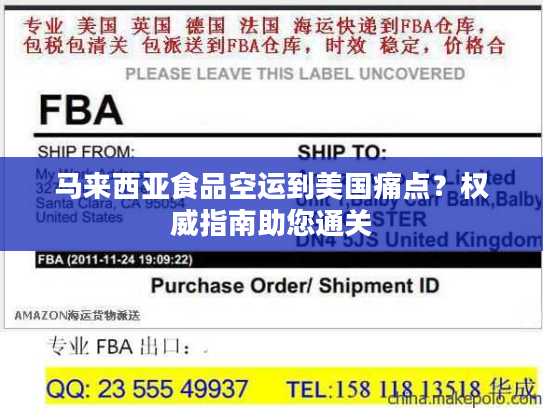 马来西亚食品空运到美国痛点？权威指南助您通关