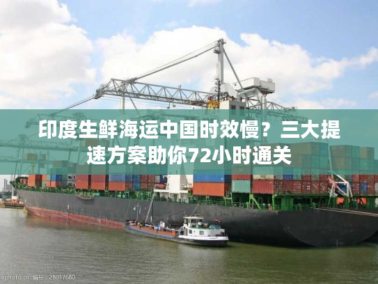 印度生鲜海运中国时效慢？三大提速方案助你72小时通关