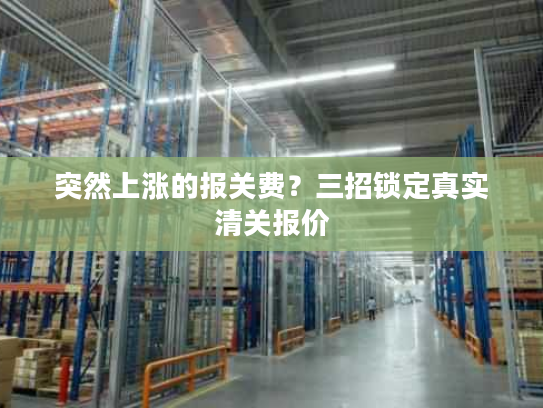 突然上涨的报关费?三招锁定真实清关报价 突然上涨的报关费?三招锁定真实清关报价