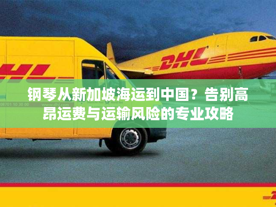 钢琴从新加坡海运到中国？告别高昂运费与运输风险的专业攻略