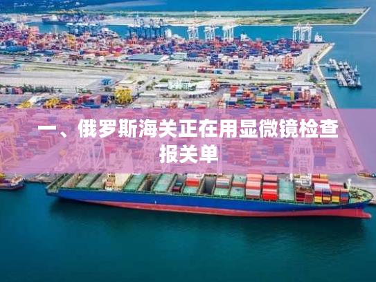 一、俄罗斯海关正在用显微镜检查报关单