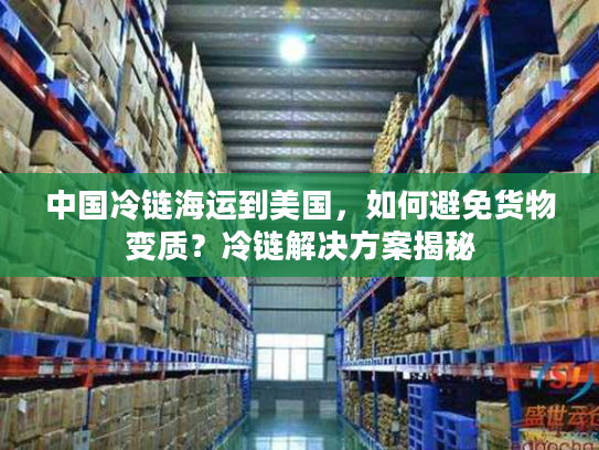 中国冷链海运到美国，如何避免货物变质？冷链解决方案揭秘