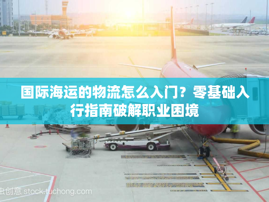 国际海运的物流怎么入门？零基础入行指南破解职业困境