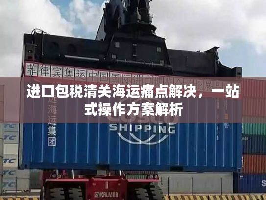 进口包税清关海运痛点解决，一站式操作方案解析