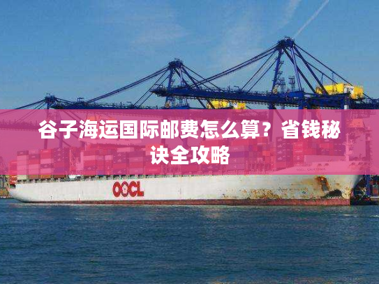 谷子海运国际邮费怎么算？省钱秘诀全攻略