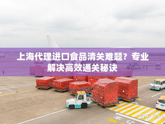 上海代理进口食品清关难题？专业解决高效通关秘诀