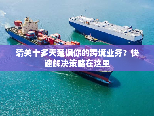 清关十多天延误你的跨境业务？快速解决策略在这里