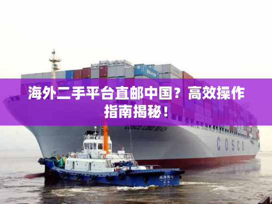 海外二手平台直邮中国?高效操作指南揭秘! 海外二手平台直邮中国?高效操作指南揭秘!