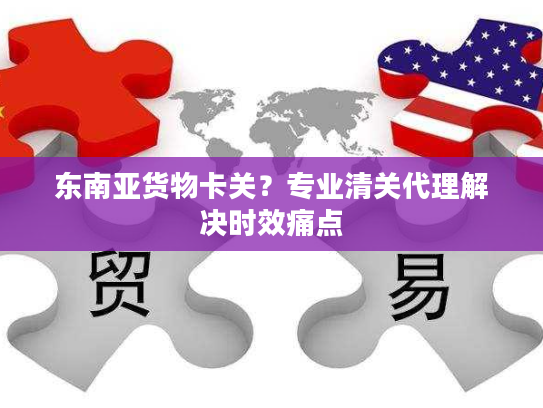 东南亚货物卡关？专业清关代理解决时效痛点