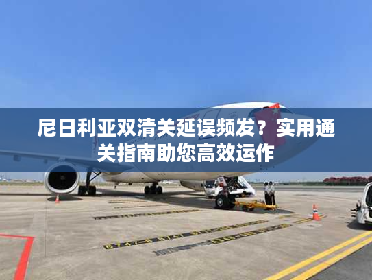 尼日利亚双清关延误频发?实用通关指南助您高效运作 尼日利亚双清关延误频发?实用通关指南助您高效运作